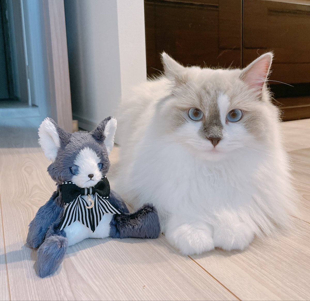 Jam or Pains. (@JamorPains) / Posts / X