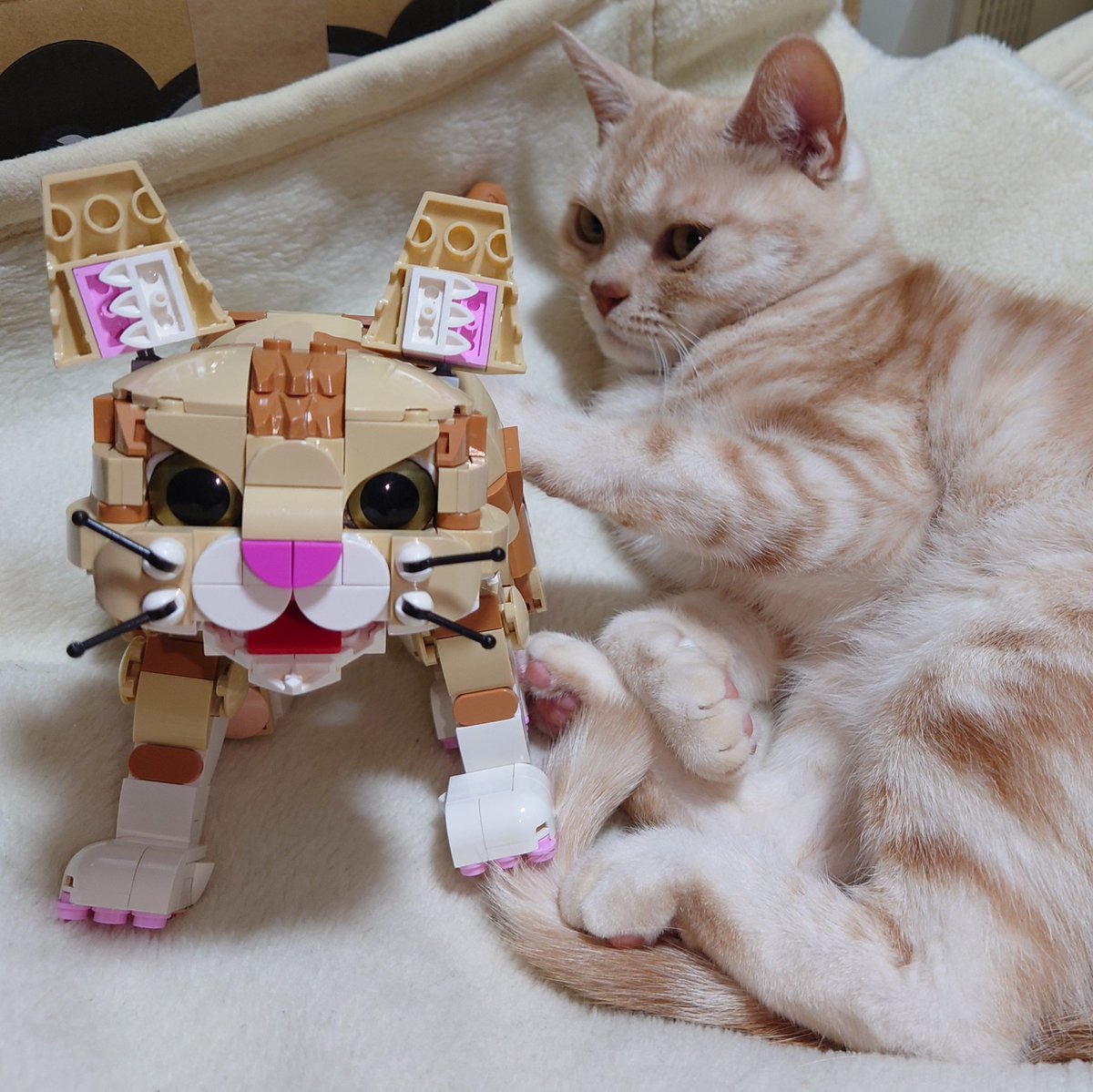ブロックはかせ.LABO tweet media