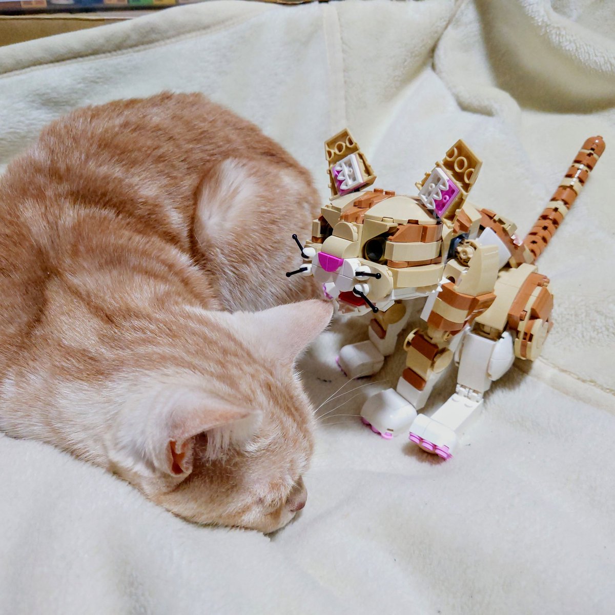 ブロックはかせ.LABO tweet media