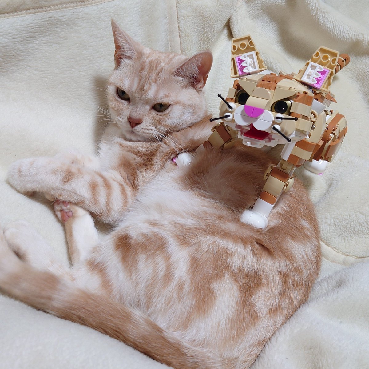 ブロックはかせ.LABO tweet media