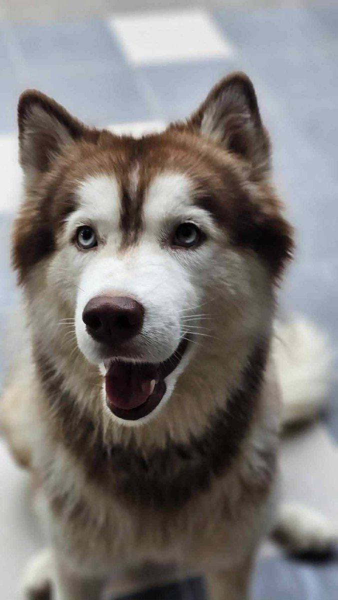 ข้อหา..ทารุณกรรมสัตว์ จำคุก 2 ปี ปรับ 40,000 บาท ไม่เพียงพอ ถ้า"ลุง"ใจเหี้ยมขนาดนี้ ตัวเองรักไก่ รักสัตว์ คนอื่นก็รักชีวิตของตัวเองเหมือนกัน..   
#มอลลี่ #ทารุณกรรมสัตว์