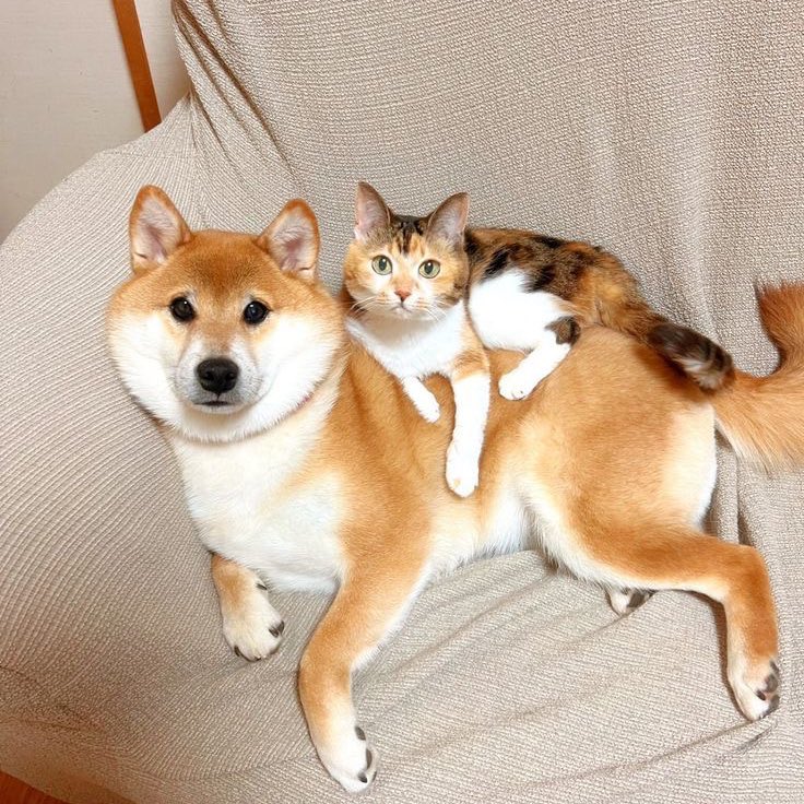 ขอเอเอนั่งหน่อยน้า