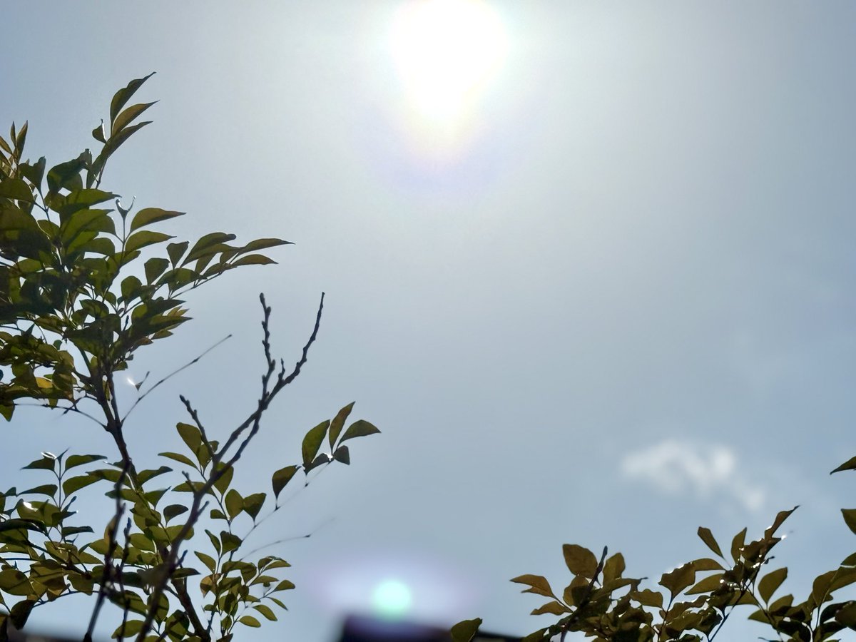 ビューティーこくぶ tweet media