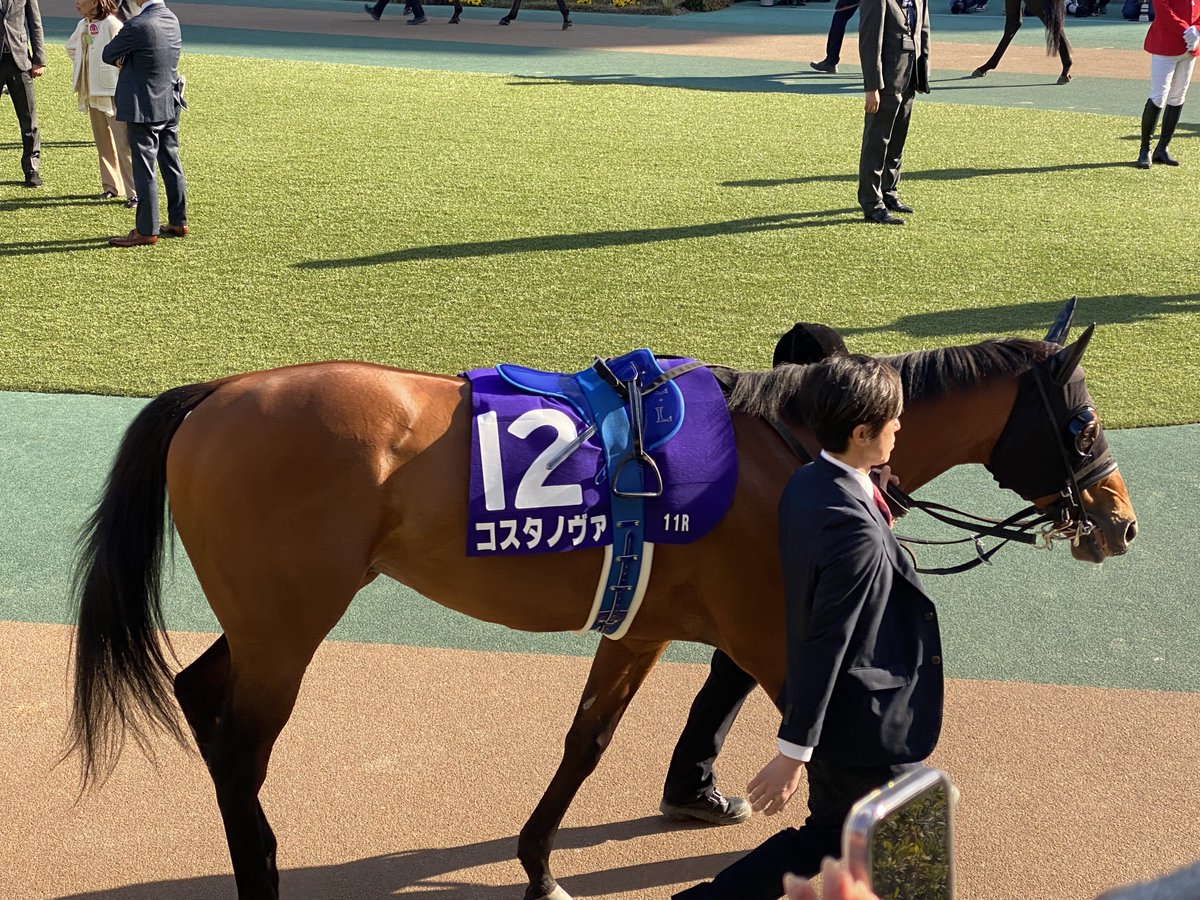 あつし (@atsushi_ohtomo) / Posts / X