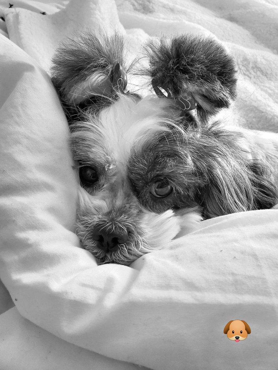 Andi ❤🖤💚 tweet media