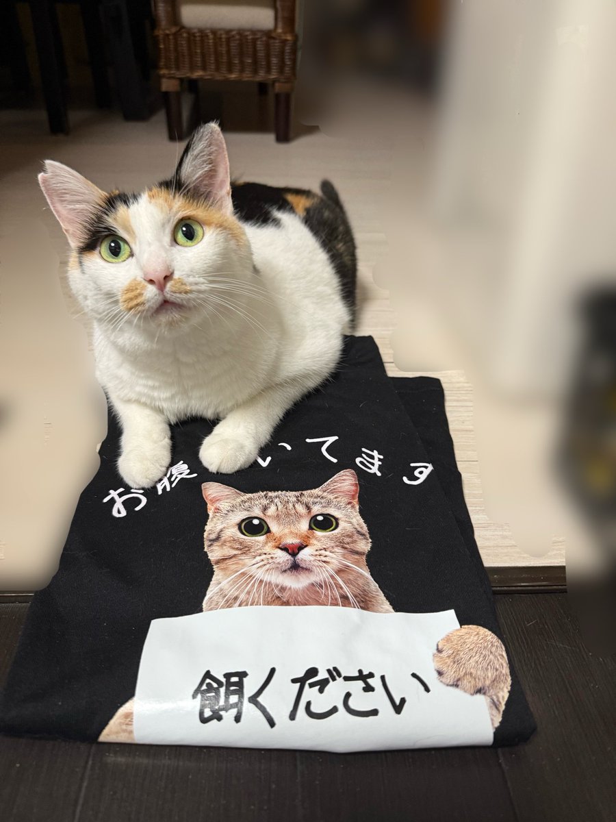 ばっきーぬ (@xxbakkii) / Posts / X