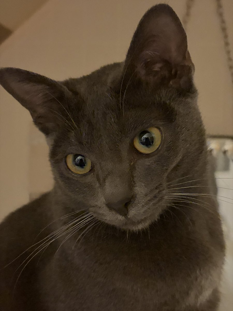 Andy Davidson tweet media