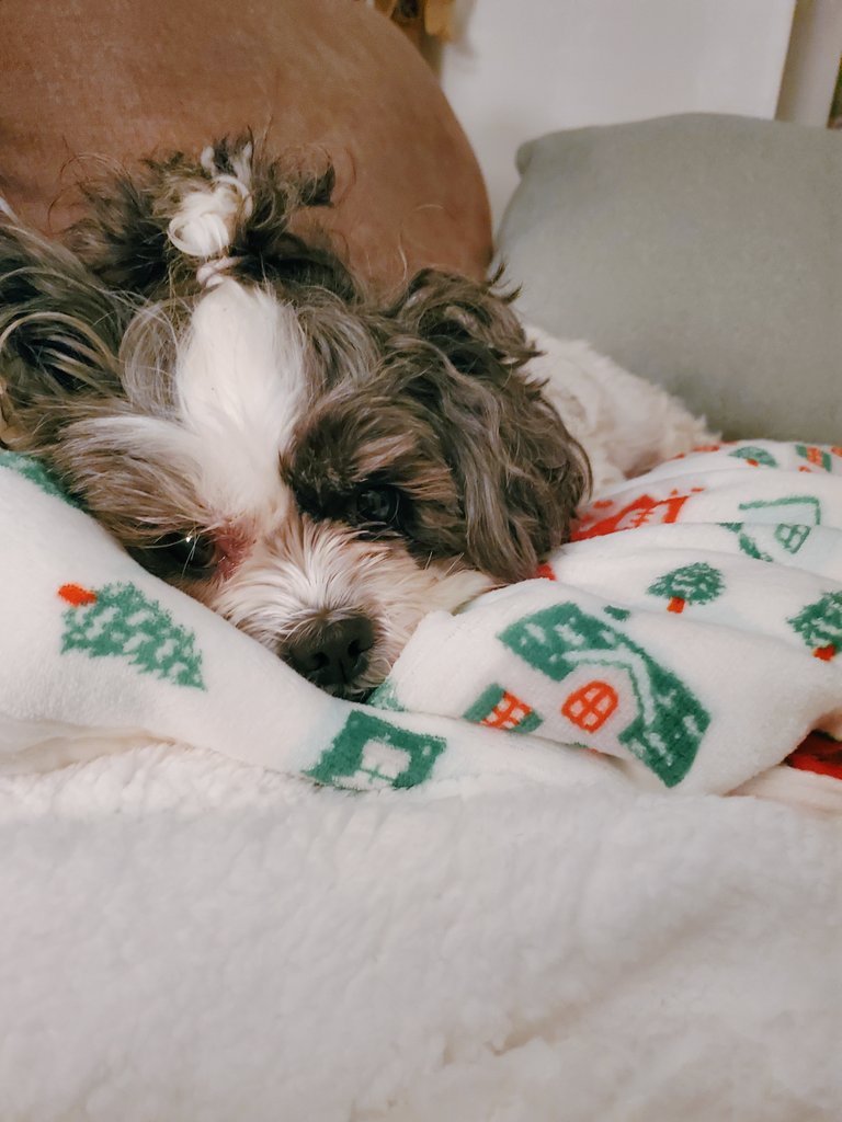 Andi ❤🖤💚 tweet media