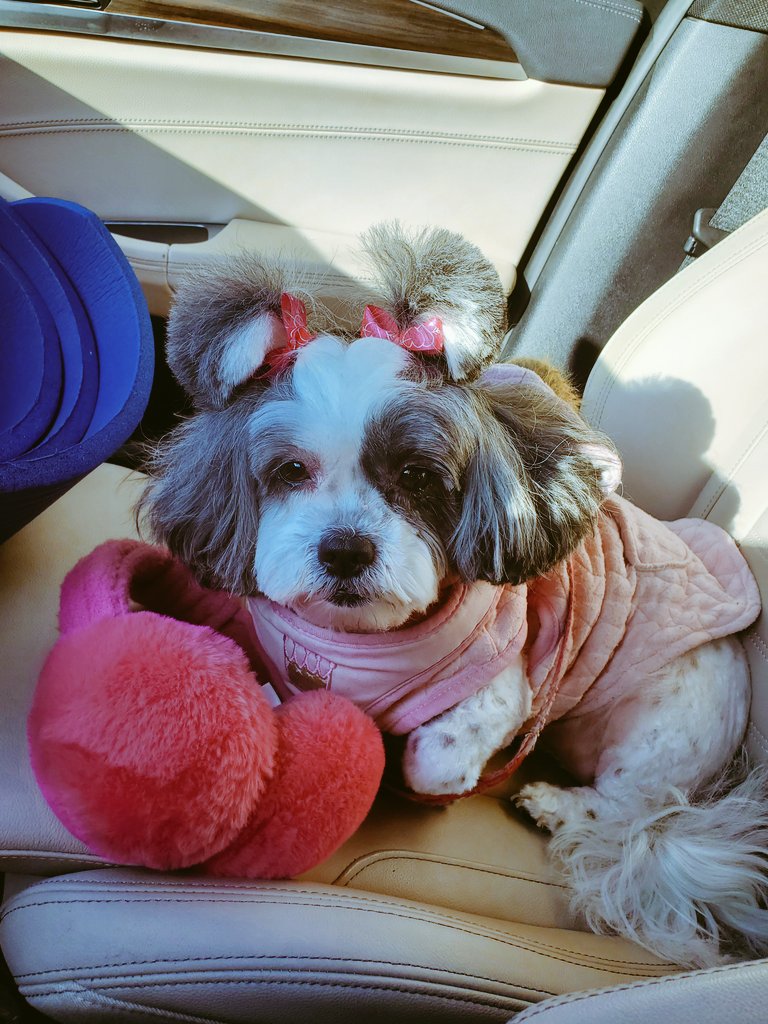 Andi ❤🖤💚 tweet media