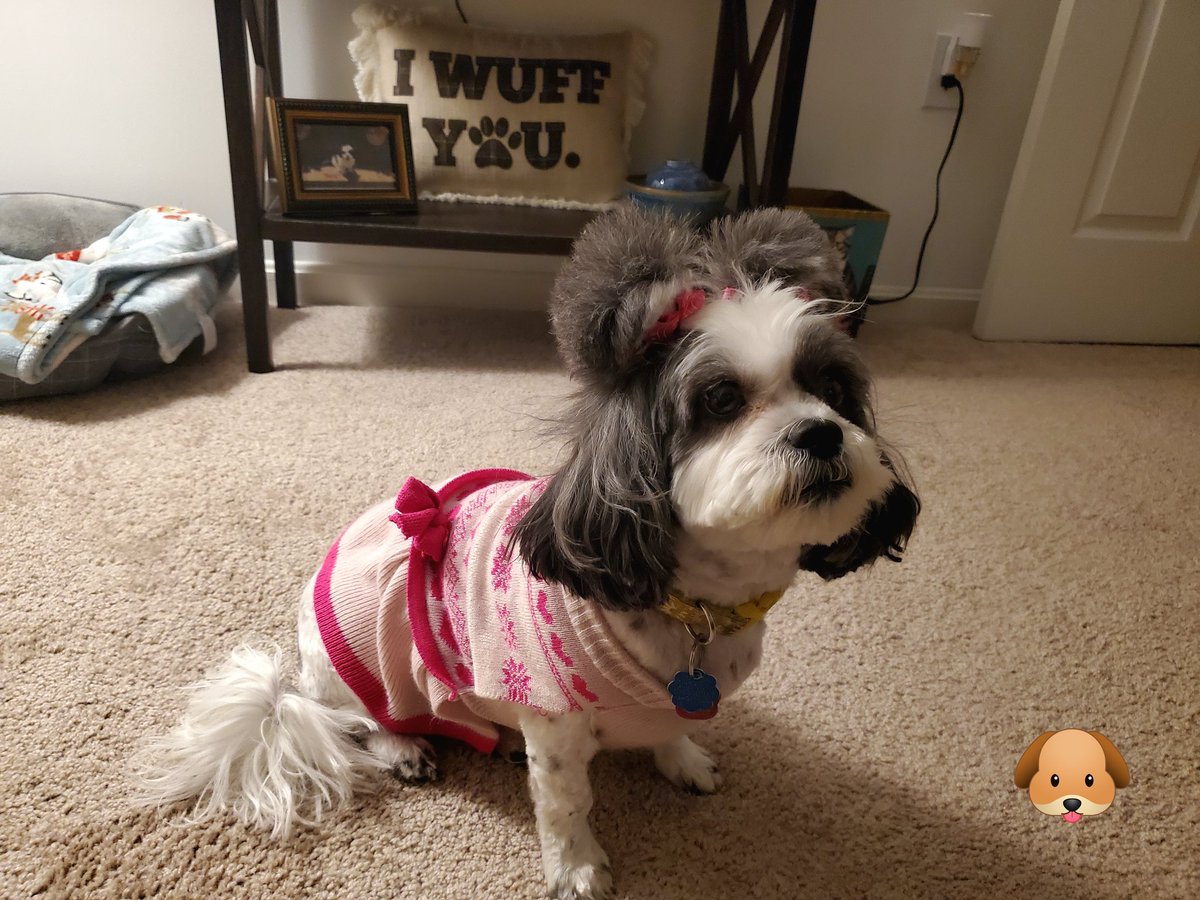 Andi ❤🖤💚 tweet media