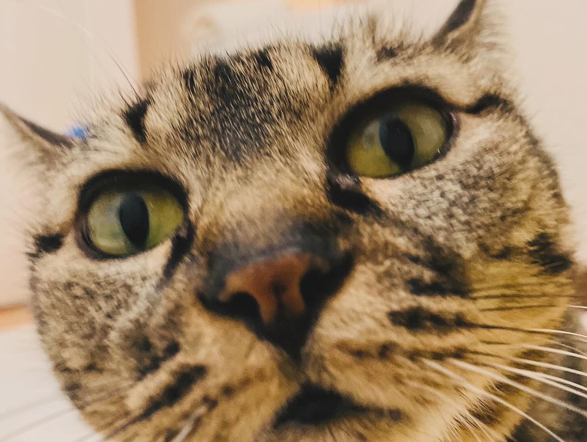 NACO (@NACONaCo1009) / Posts / X