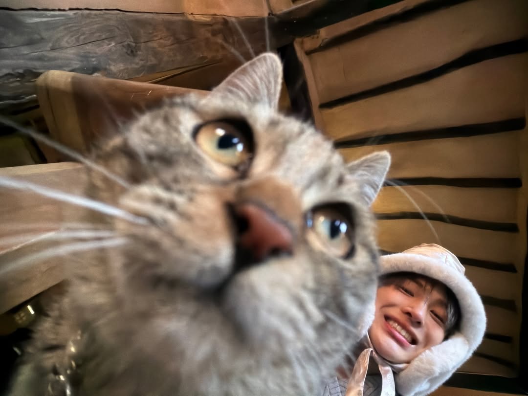 [260222] #KEONHO Instagram Update

🐈🐈‍⬛

#CORTIS #코르티스