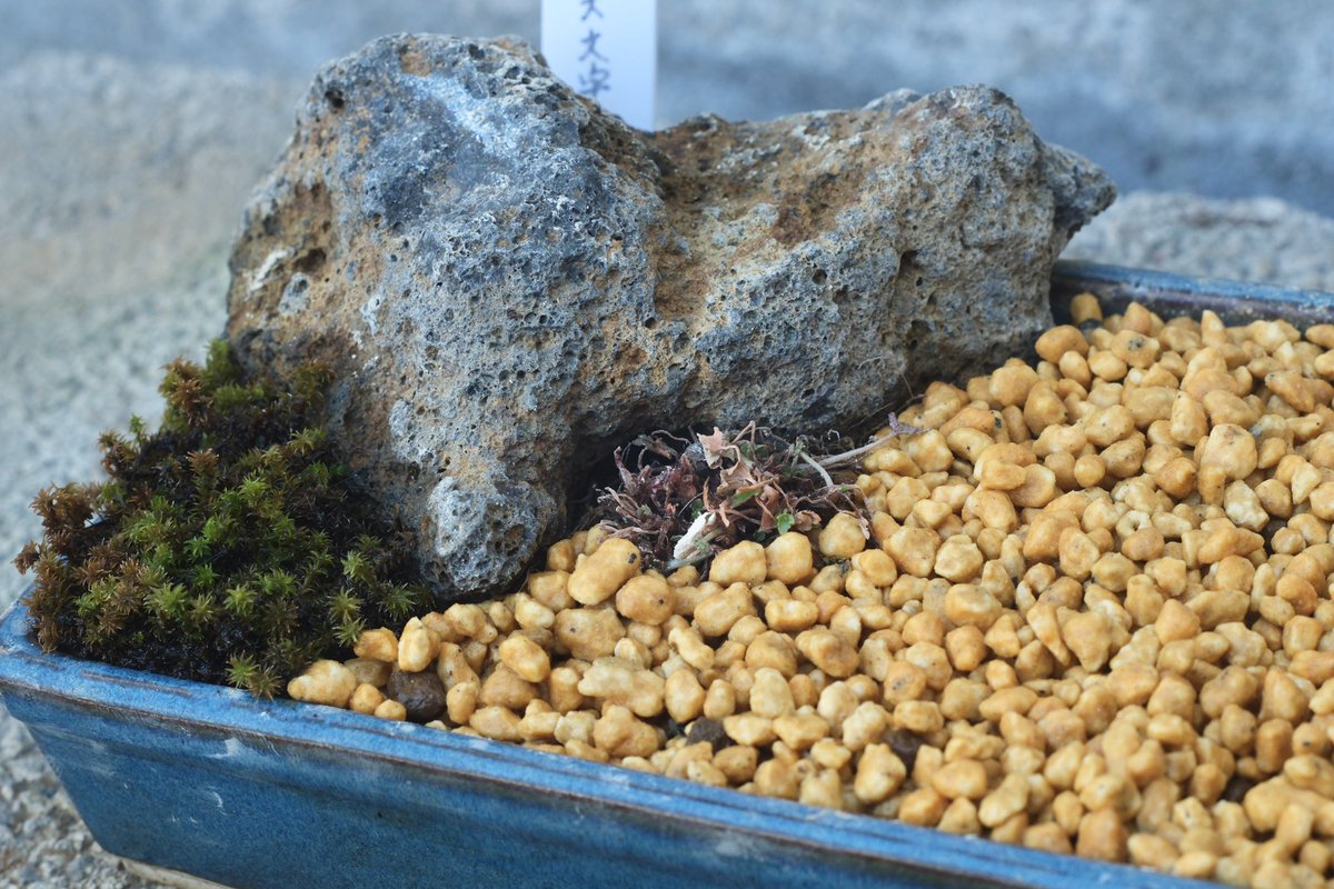 FUKUDA Toru 福田 亨 tweet media