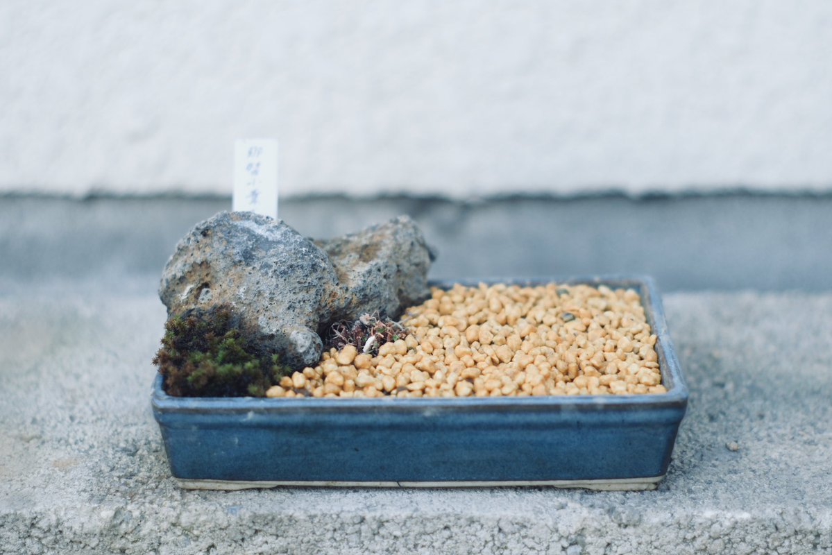 FUKUDA Toru 福田 亨 tweet media