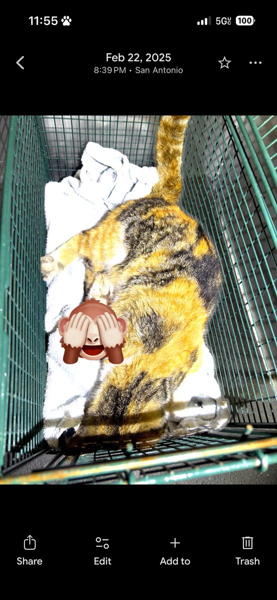 gasket ⚙️ tweet media