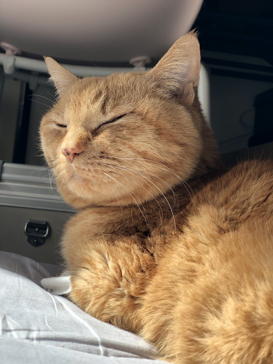 ウチミフォトオフィス tweet media