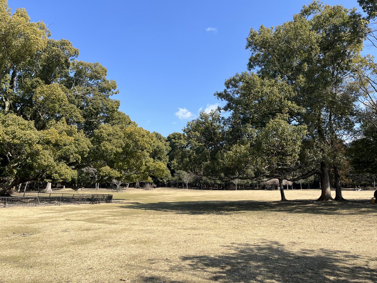 mocchi531's tweet photo. ぼっち奈良公園②
興福寺から荒池、浮御堂、飛火野へ
人少なめの裏コース？でベンチや切り株を見つけては休憩🍵
五重塔は工事中、浮御堂の池は水抜き中でビックリすることもあったけど、奈良公園は本当に心休まる場所✨
今日はちょっと暑いけど💦 https://t.co/14dROBNkwy