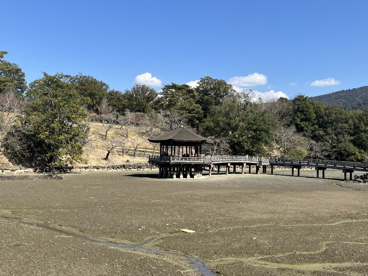 mocchi531's tweet photo. ぼっち奈良公園②
興福寺から荒池、浮御堂、飛火野へ
人少なめの裏コース？でベンチや切り株を見つけては休憩🍵
五重塔は工事中、浮御堂の池は水抜き中でビックリすることもあったけど、奈良公園は本当に心休まる場所✨
今日はちょっと暑いけど💦 https://t.co/14dROBNkwy