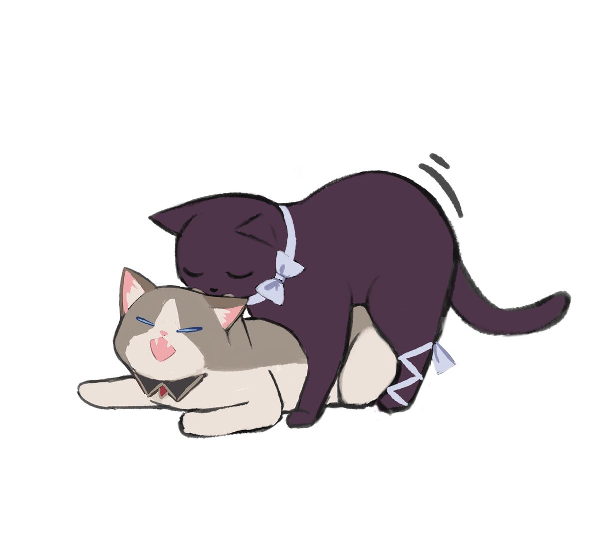 #sandbina
#猫の日