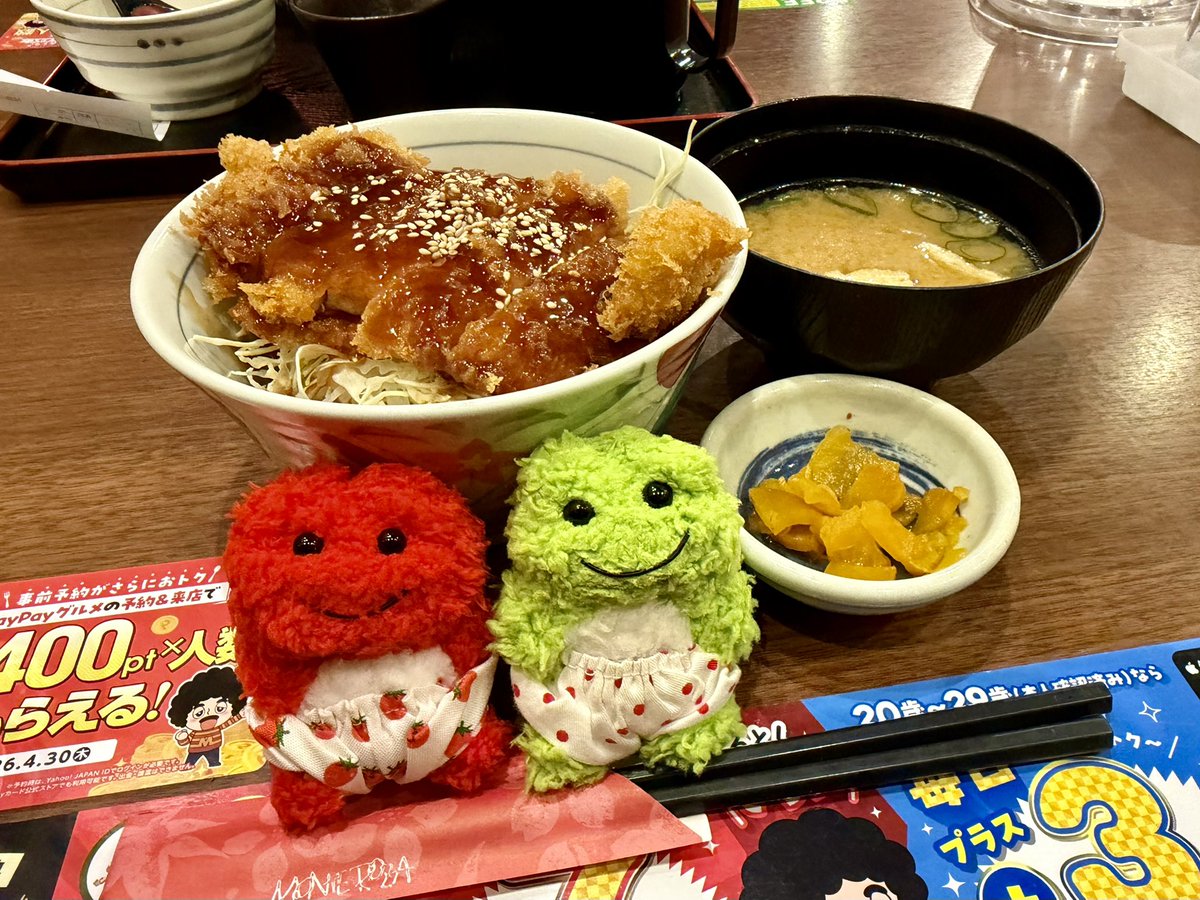 GO-GO! Gohan Time 🍚💚❤️ #モグとちっち #ピクルスあかね部 #あ