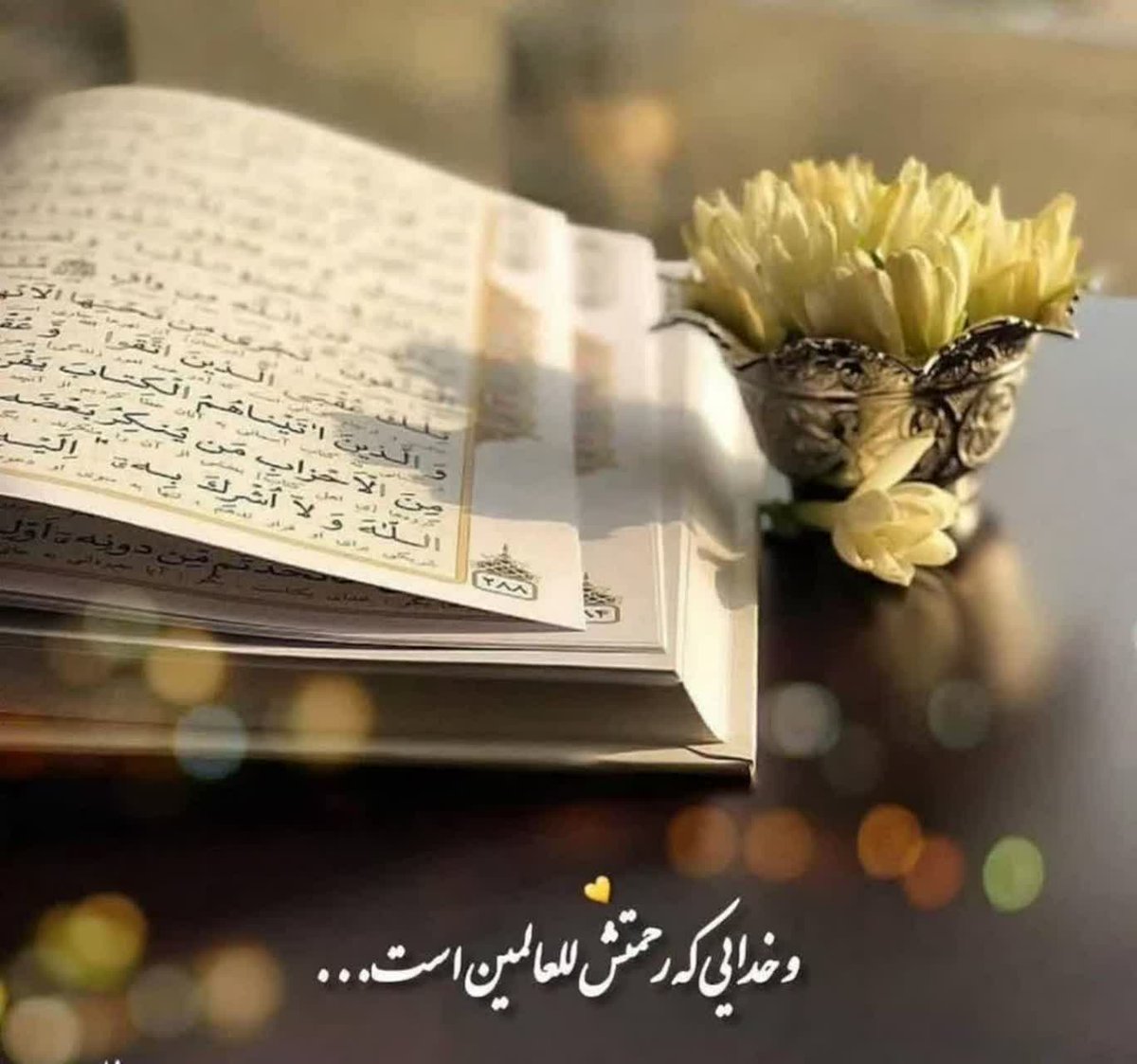 feri.7074 tweet media
