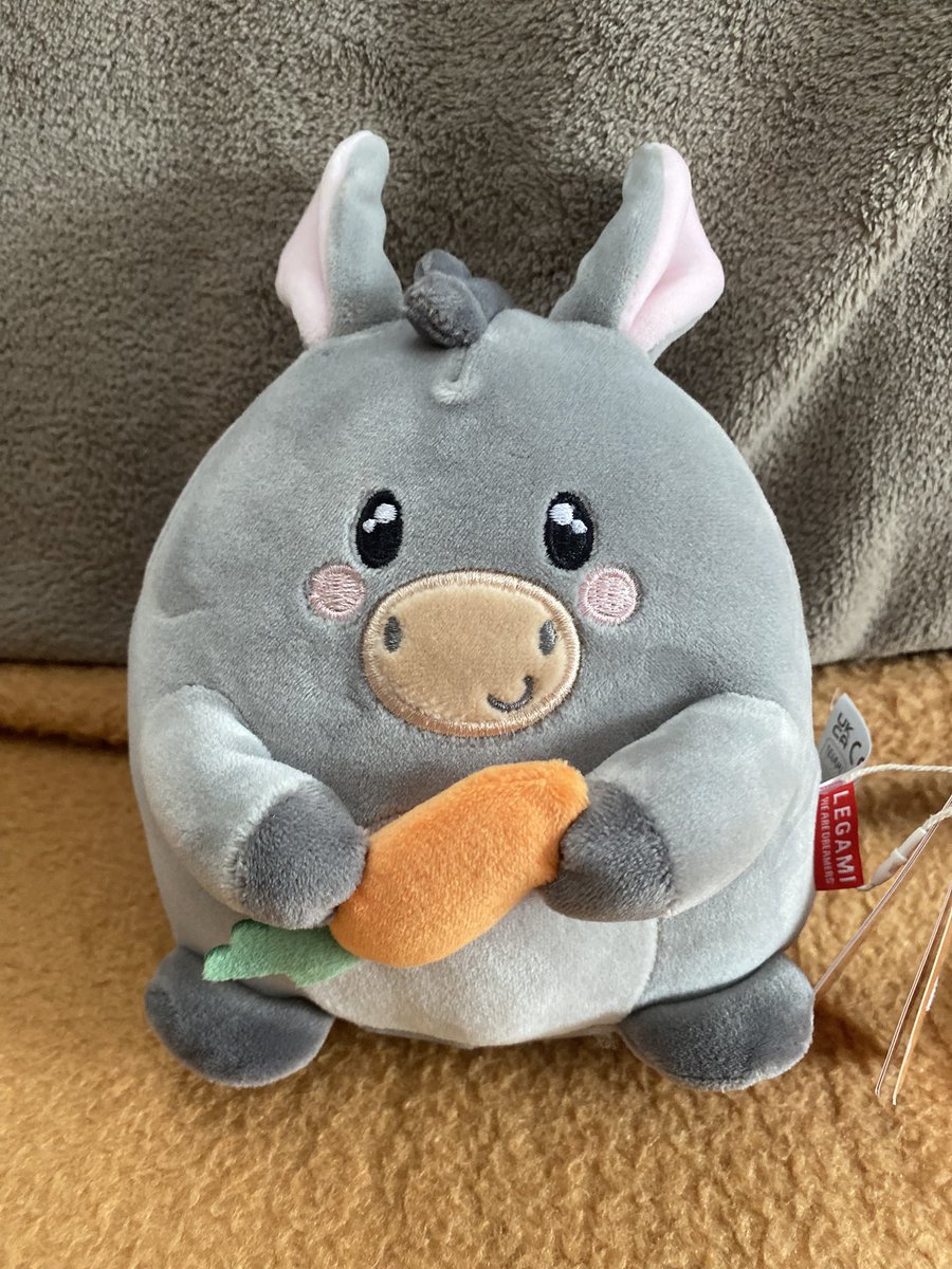 Sonia Zuccaro tweet media