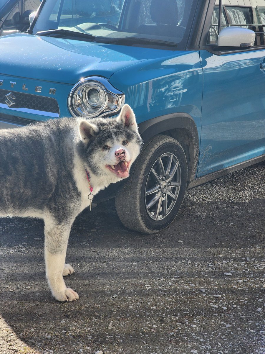 え！？またお出かけしたいの？😅