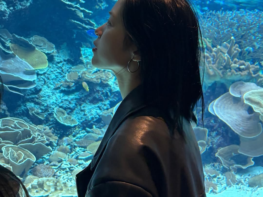 ryujin pics tweet media