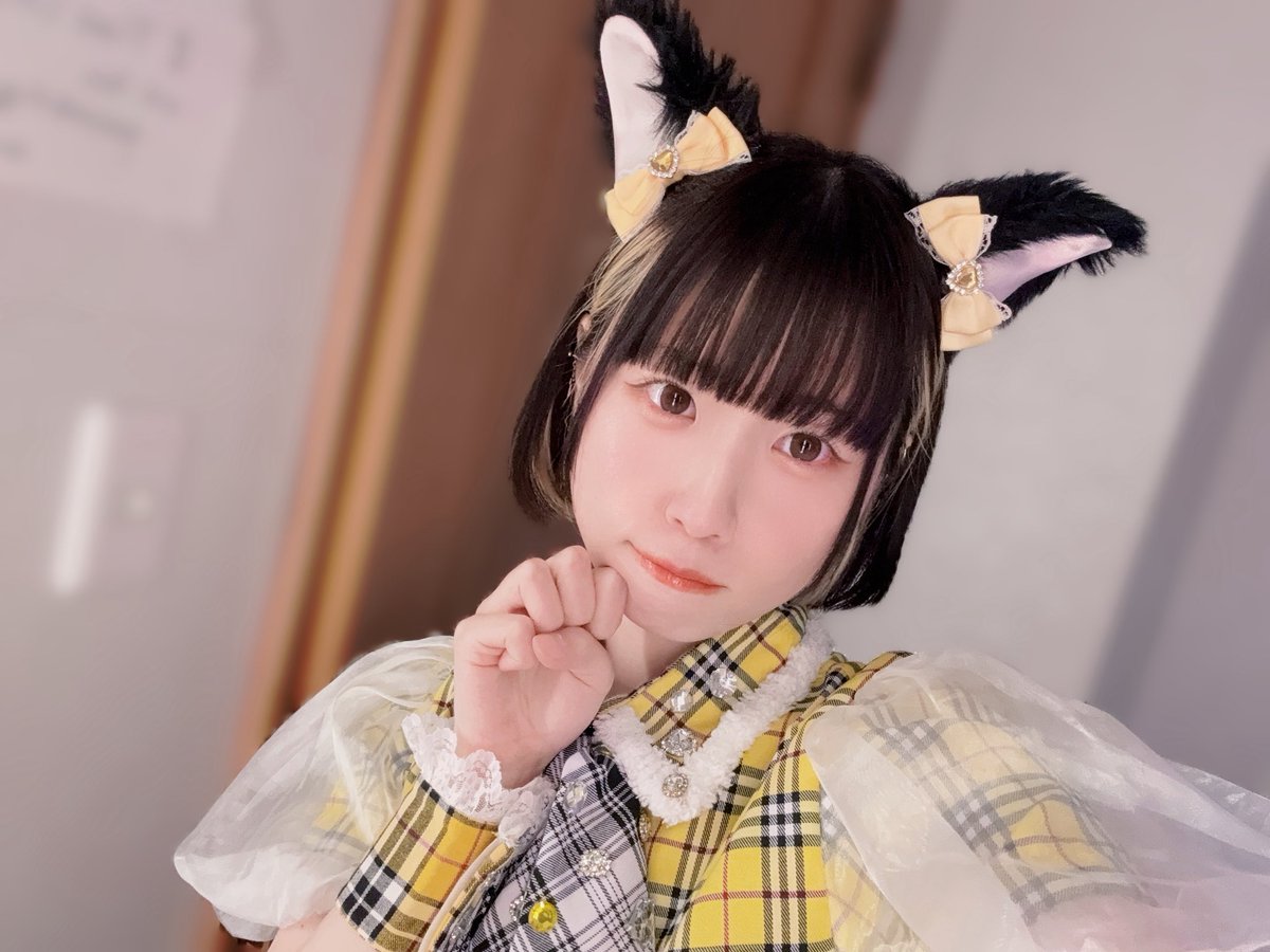 きょうも楽しかったありがと🐱 #猫の日 #にゃんにゃんにゃんの日