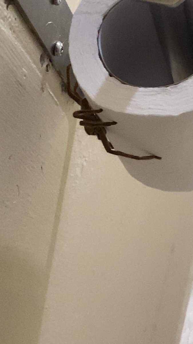 you will never believe what just happened to me