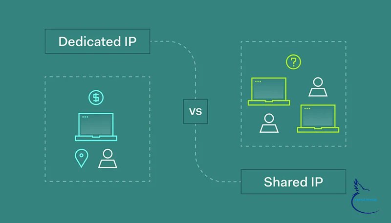 Mr.programmer tweet media