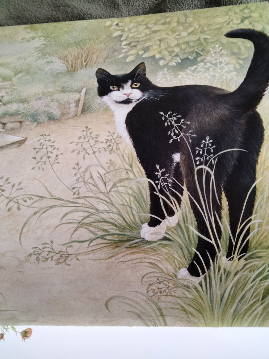 猫の日。英国アーティストレズリー・アン・アイボリーが描く猫。以前