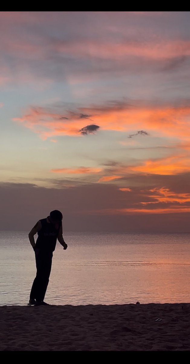 🤍🌻 tweet media