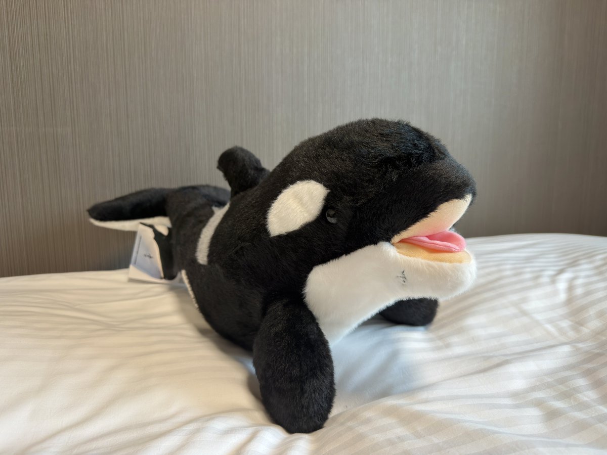 名古屋港水族館スタッフ監修 リンちゃんぬいぐるみです！！！！！ ※6000円