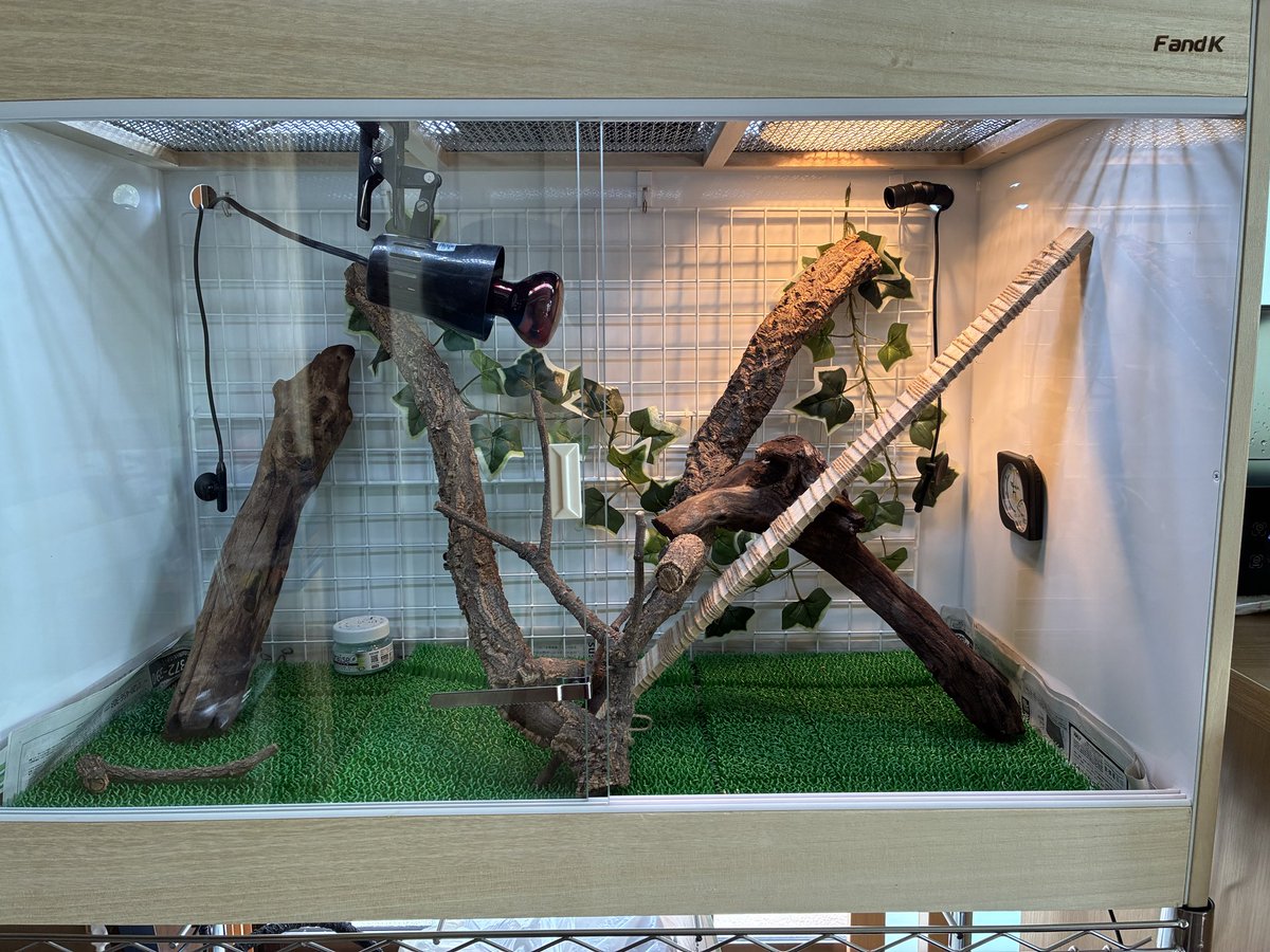 FandK 爬虫類木製ケージ (@mokusei_keiji_2) / Posts / X