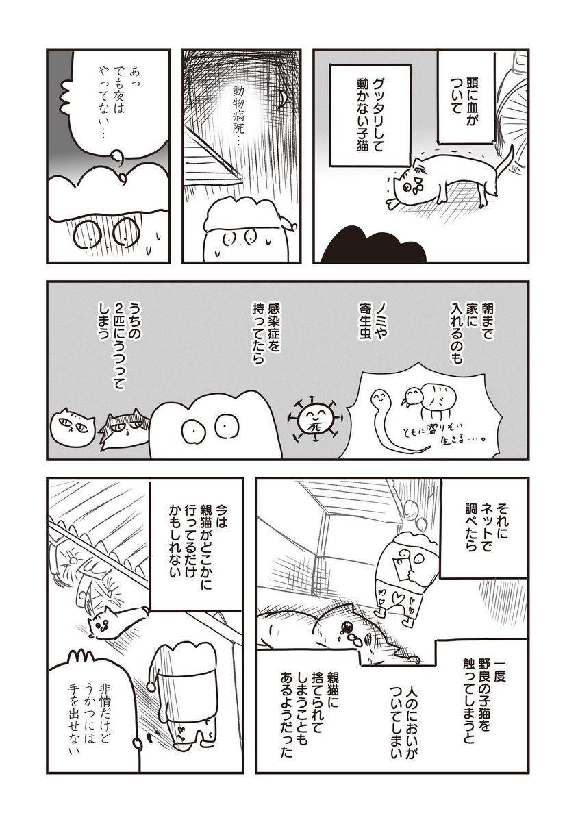 死にかけの猫を拾った話(2/3) 