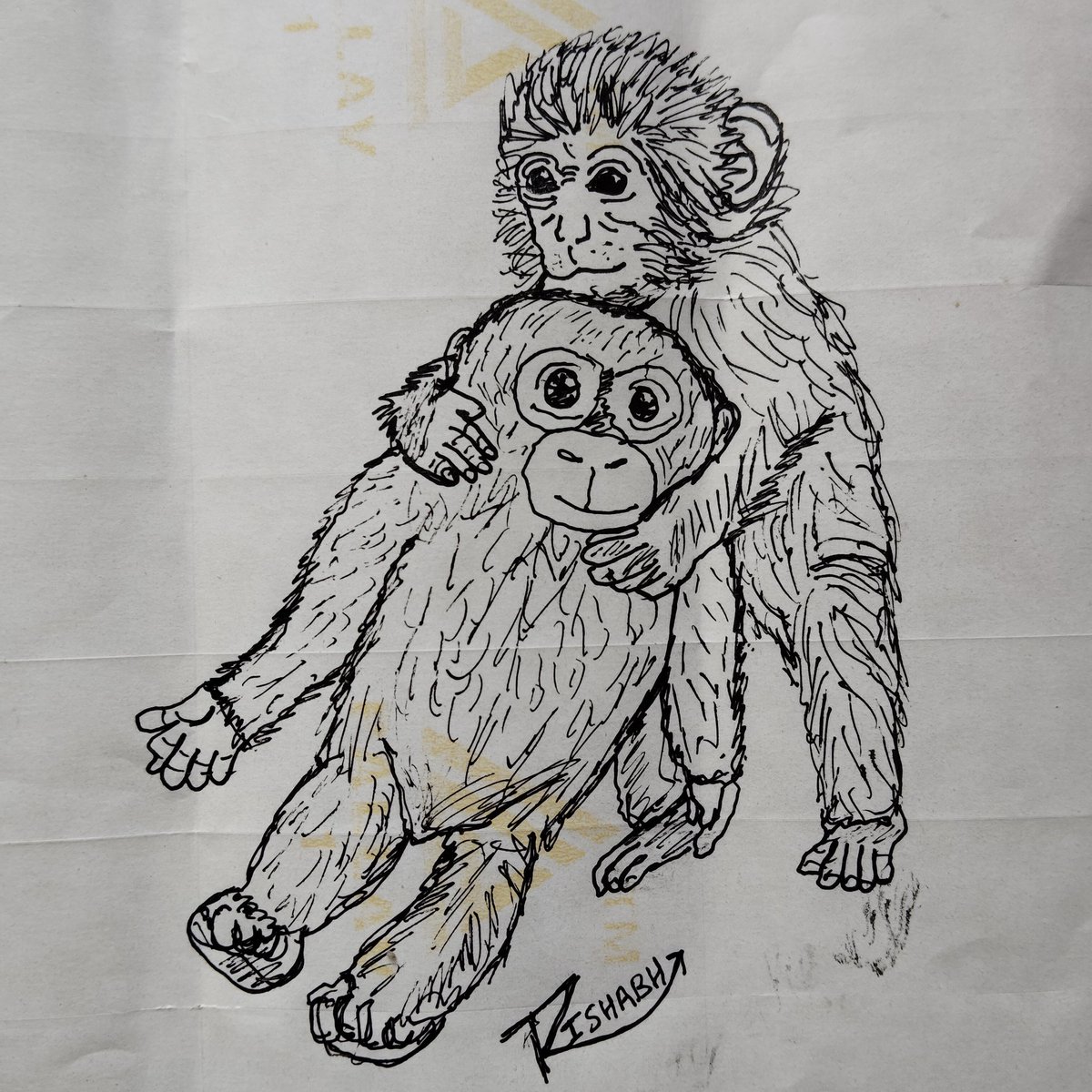 arts_rishabh's tweet photo. Sketch of Little Punch 🐒 With His Toy Friend 🐵

#Punch #japanzoo #viralmonkey #life #littlemonkey #lonely #mom https://t.co/wMCRMSAJT6
