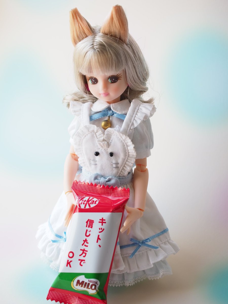 kakeruko tweet media