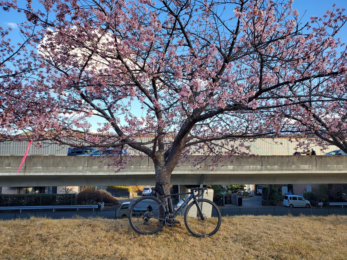 長嶋茂雄ロードってこんなもんだっけ？