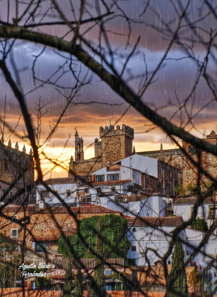 𝔄𝔤𝔲𝔰𝔱𝔦𝔫 𝔇𝔦𝔞𝔷 𝔉𝔢𝔯𝔫𝔞𝔫𝔡𝔢𝔷 tweet media