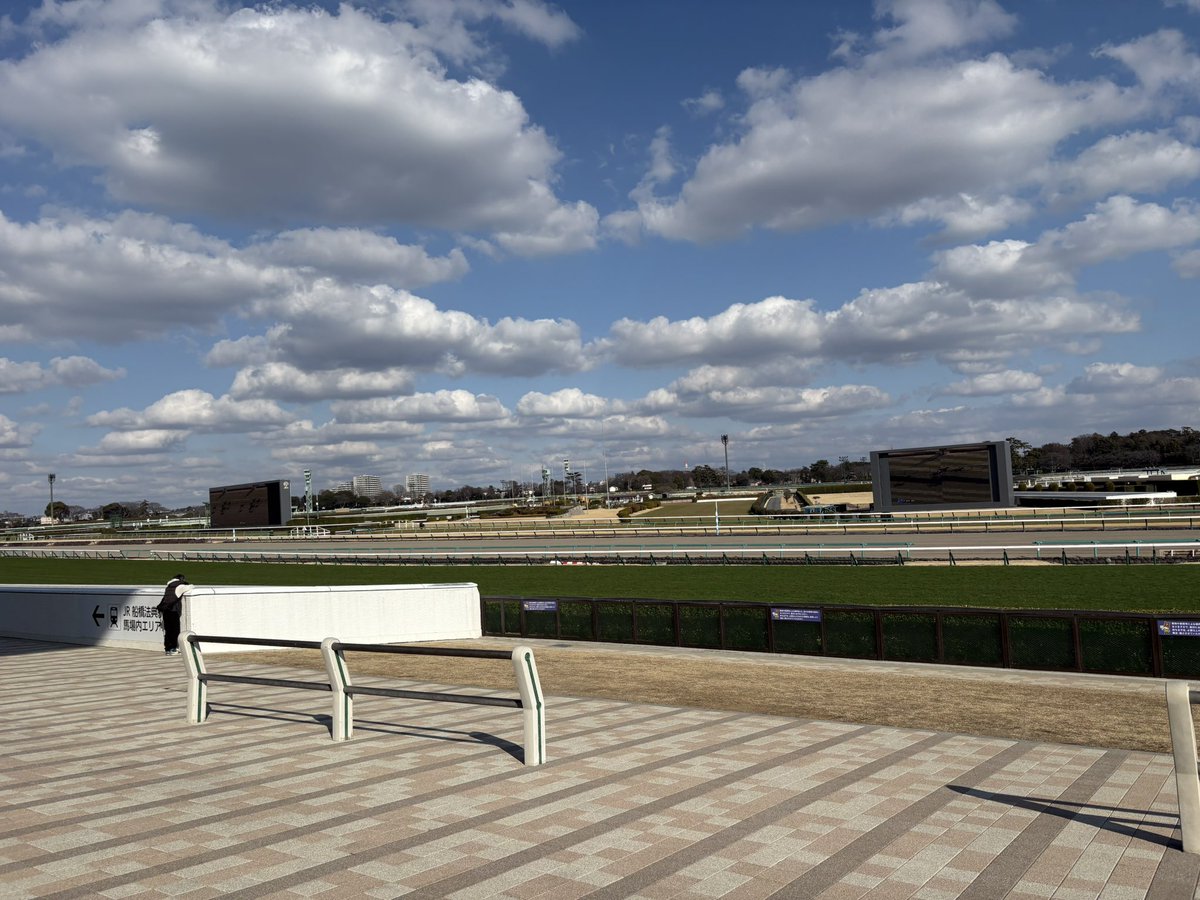 TDCCCC's tweet photo. 昨日は何もやってない中山競馬場の内馬場でのんびり遊んだ。毎週JRAにつぎ込んでるのでこういう使い方をしないと元が取れん。今日は今年初G1フェブラリーステークスね。先週の現地惨敗分を返してもらおう。出遅れなければ勝てると思う◎コスタノヴァ　写真は中山にある謎滑り台。 https://t.co/YIlDKBM4CU