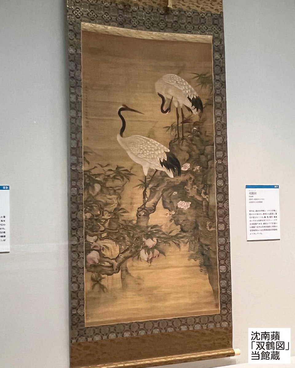 今日は #桃の節句 #沈南蘋 の #双鶴図 は、つがいの鶴に桃。なんだか