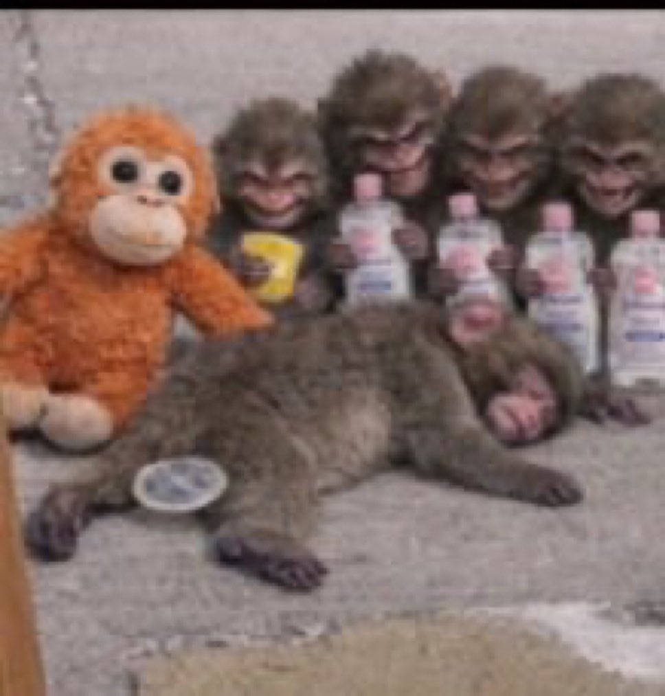 punch the second Binance lists it