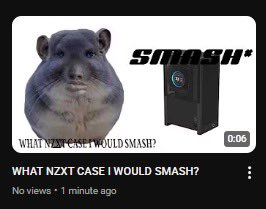 NZXTCHINCHILLA tweet media