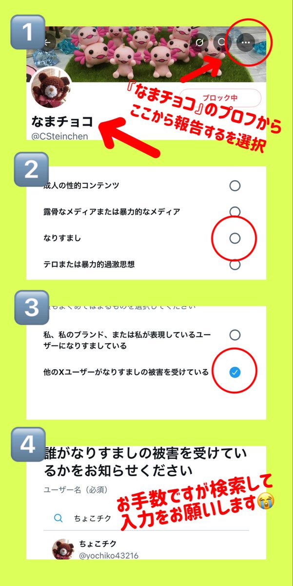 通報のやり方です🙇‍♂️ @CSteinchen はなりすましアカウントです