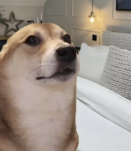 osayam3n's tweet photo. Me listening to my girlfriend scold me knowing fully well I will do it again in the next 10 seconds. https://t.co/QtjJOq0VQm