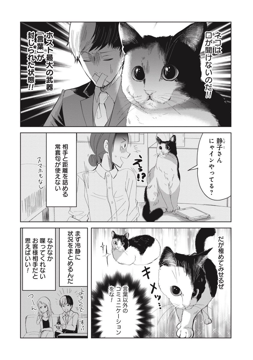 猫に転生したナンバー1ホストの受難
(2/4) 