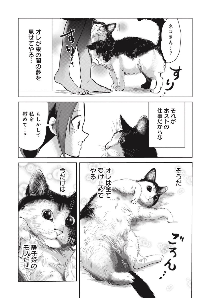 猫に転生したナンバー1ホストの受難
(3/4) 