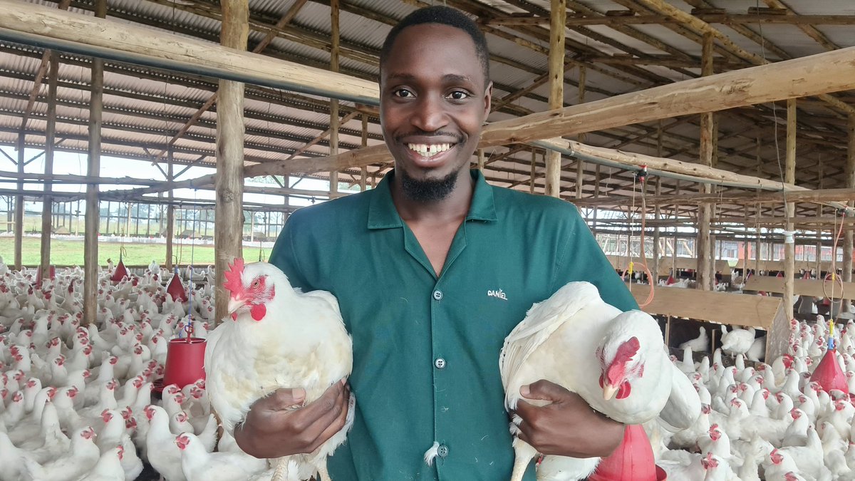 Dr. Daniel Masaba tweet media