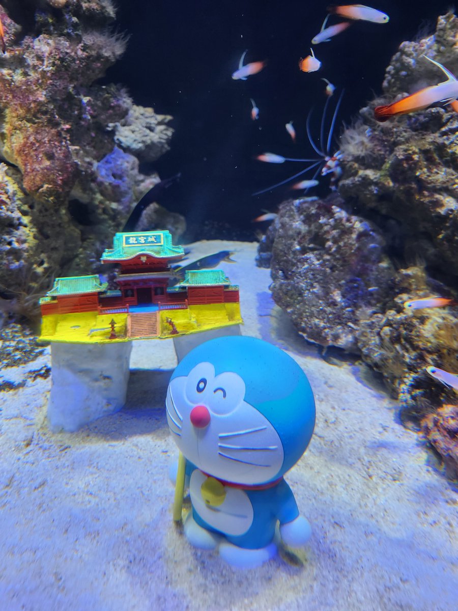 metal0215's tweet photo. ドラえもん発見！
#映画ドラえもん　#沼津港深海水族館 https://t.co/m8RlvjP3PM